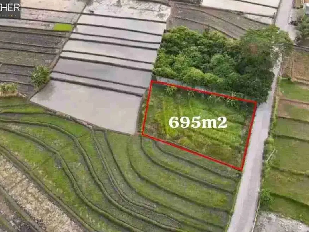 TANAH PREMIUM VIEW SAWAH PANTAI NYANYI - Image 2 of 6