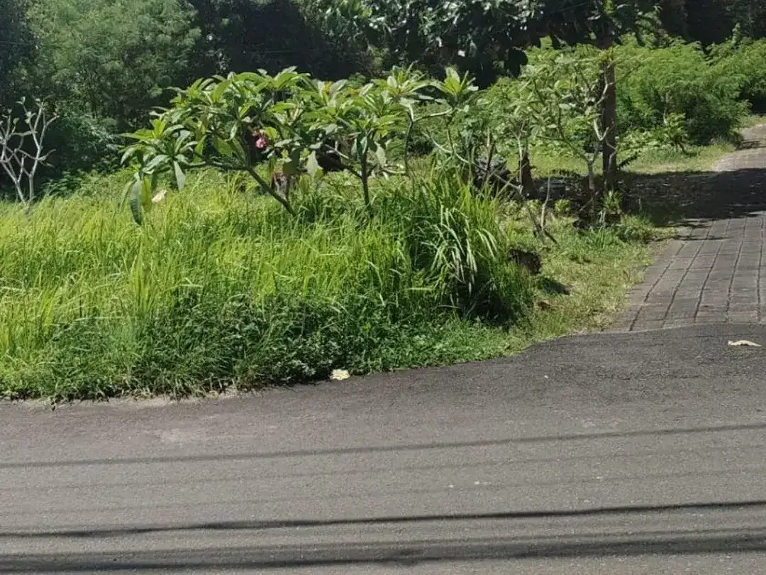 TANAH MURAH DI MUDEH KUTUH KUTA SELATAN BALI - Image 3 of 10