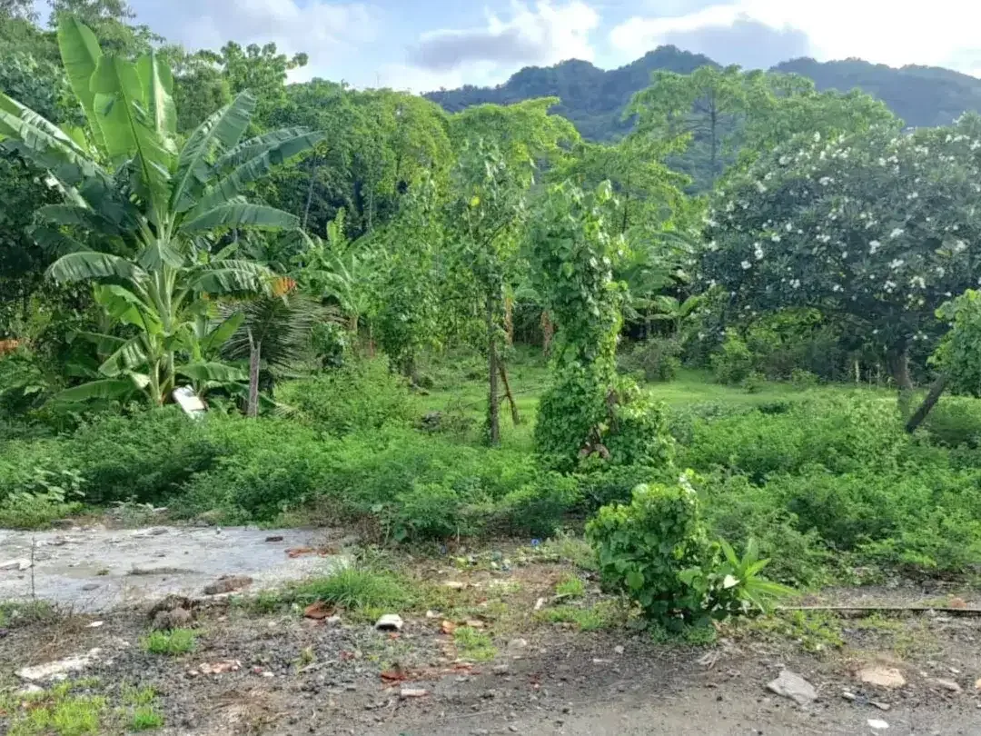 Investasi Pensiun Masa Depan. Dijual Tanah Murah Los Pantai Singaraja. - Image 7 of 8