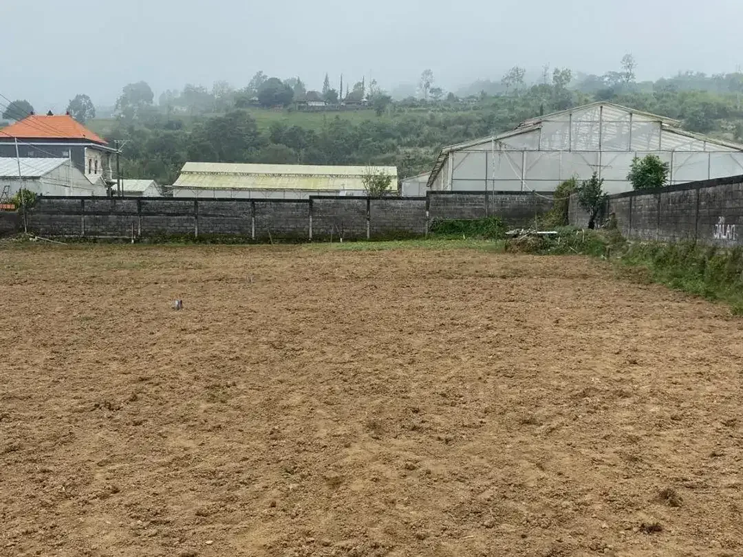 TANAH KAVLING DIJUAL – PANCASARI, BEDUGUL - Image 5 of 5