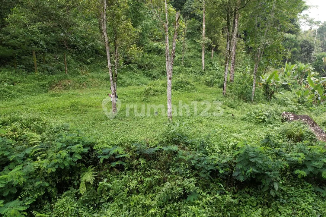 Tanah 98 Are Berisi Air Terjun Pinggir Aspal Lemukih Buleleng Bali - Image 4 of 4