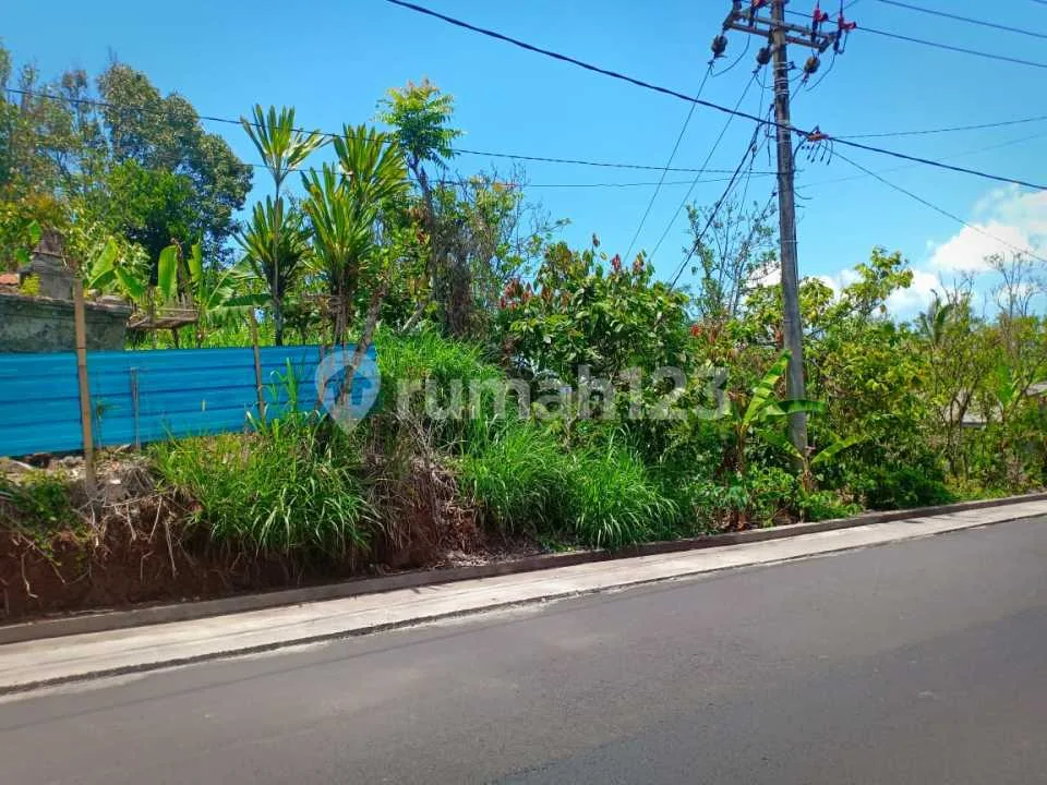 Tanah SHM Murah Pinggir Jalan Dijual Bu di Bali Utara - Image 4 of 4