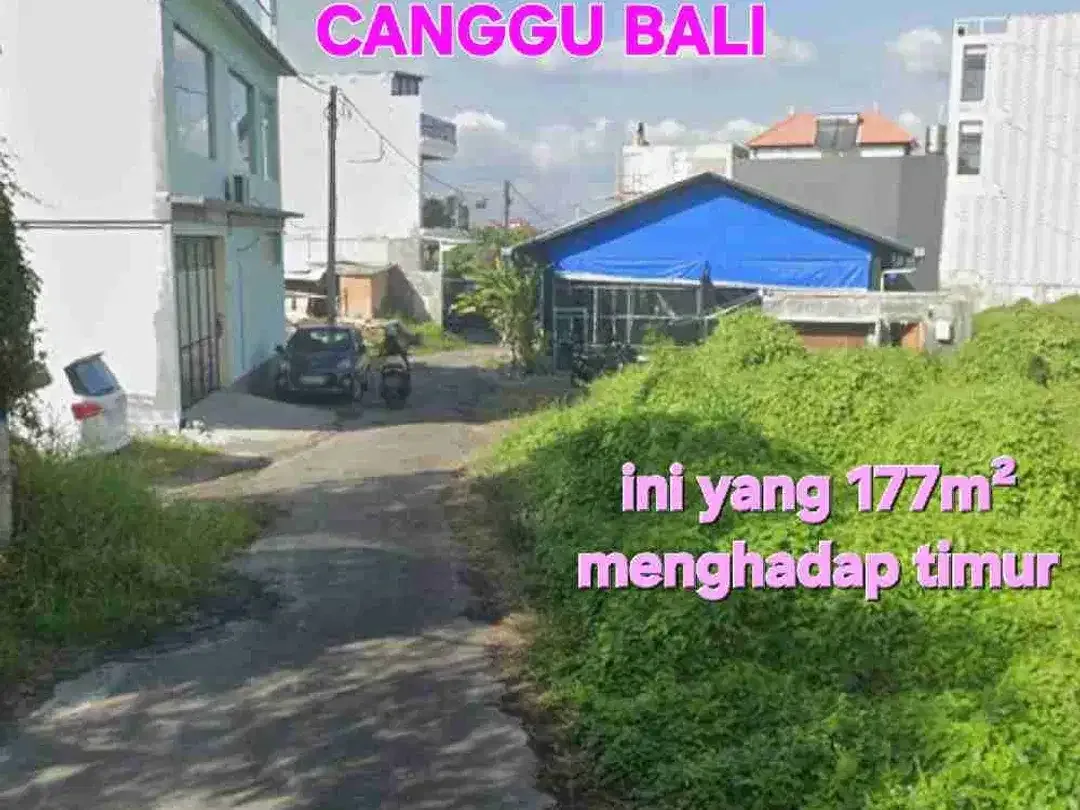 Jual tanah 1are & 1,77are PERERENAN CANGGU, jln sempol Badung Bali - Image 5 of 10