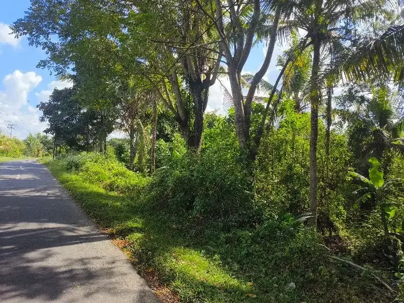 Dijual tanah murah los  sungai bebatuan dan view sawah ddi bali. - Image 2 of 10