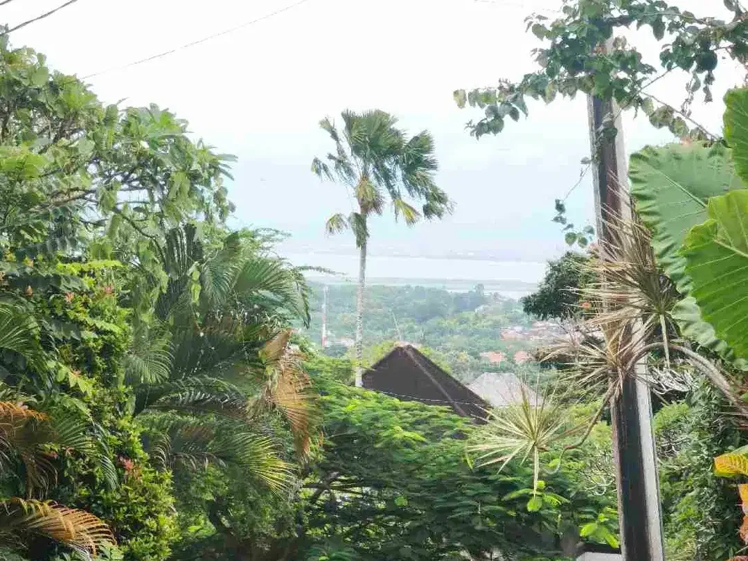 dijual tanah 4 are IDR 750 juta per are dekat hotel four points GWK ungasan Kuta Selatan Badung Bali - Image 1 of 8