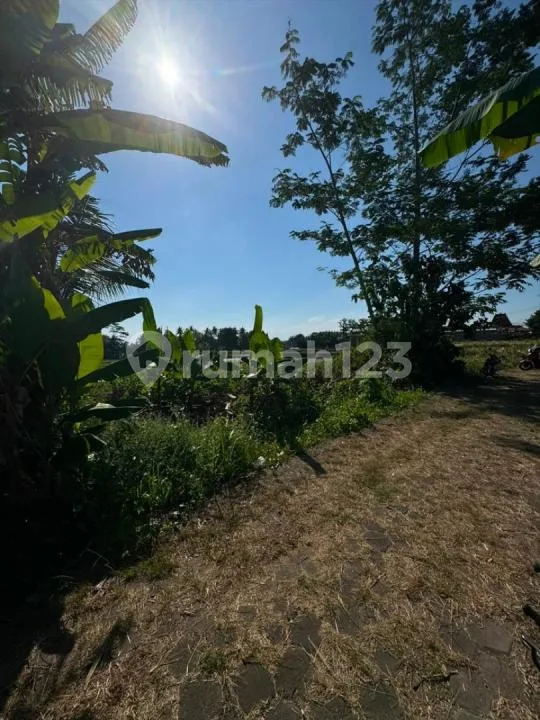 Dijual Tanah - Singakerta, Ubud View Sawah dan Sunset - Image 4 of 4