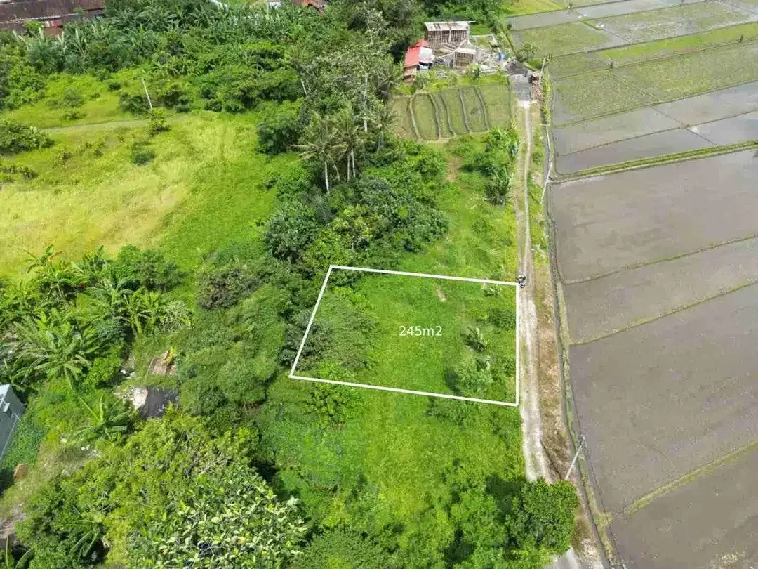 tanah plot kecil dekat pantai kedungu tabanan sangat bagus di bangun villa - Image 4 of 7
