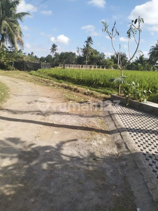 Leasehold 25 Years Brand New Villa 2br Good Investment In Ubud Bali - Image 2 of 4