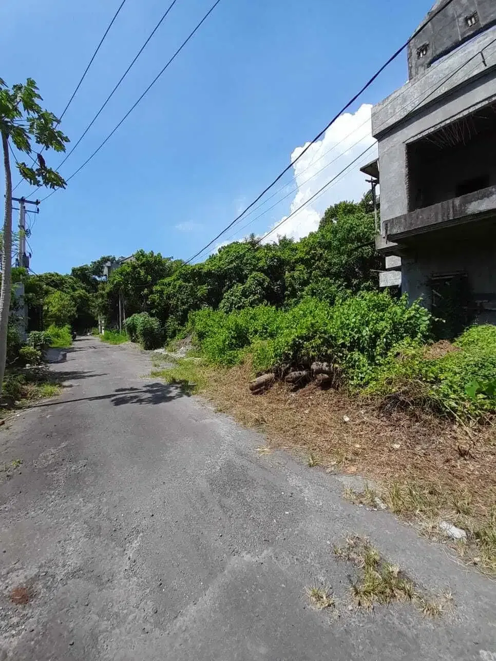 JUAL TANAH SHM PINGGIR PANTAI DI KETEWEL - Image 6 of 7