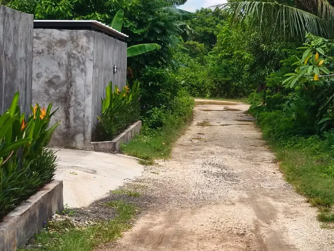 dijual tanah dekat SMP negeri 5 Kutuh Kuta Selatan Badung Bali - Image 3 of 6