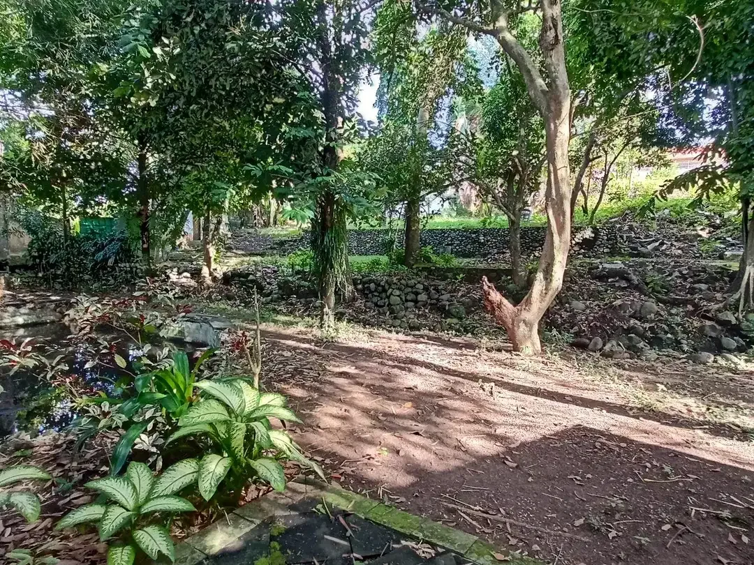 Freehold - Riverside Land for Sale in Prime Canggu, Bali Location - Image 5 of 8