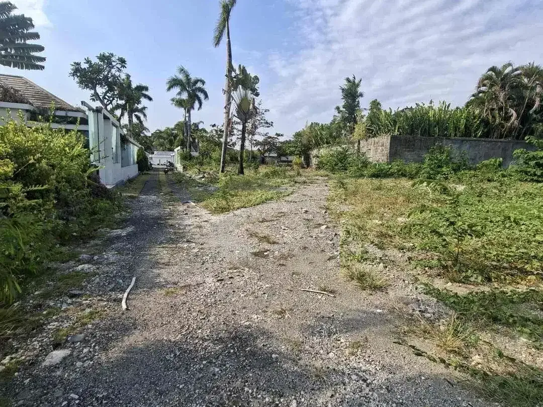 land for rent 1950m2 premium area seminyak - Image 3 of 6