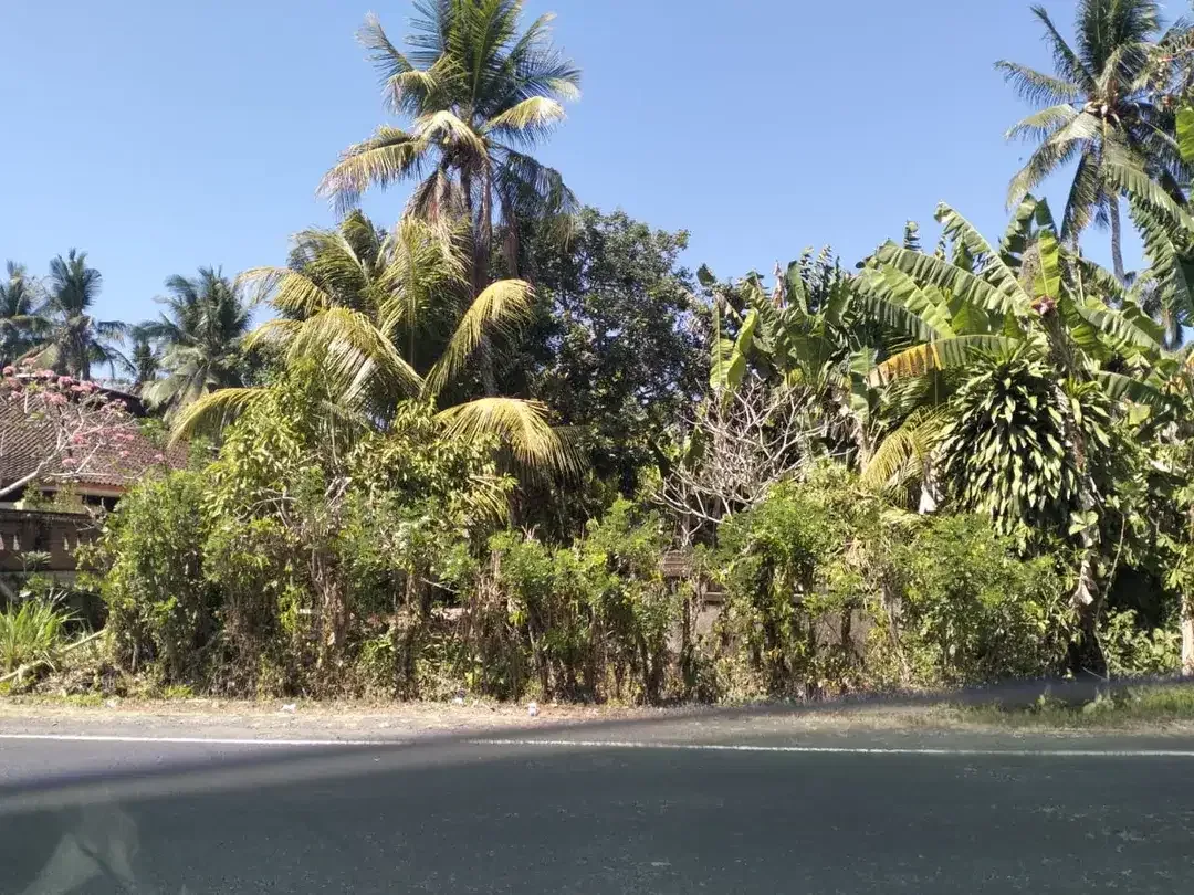 DIJUAL TANAH PINGGIR JALAN – PAKUTATAN, JEMBRANA - Image 2 of 3