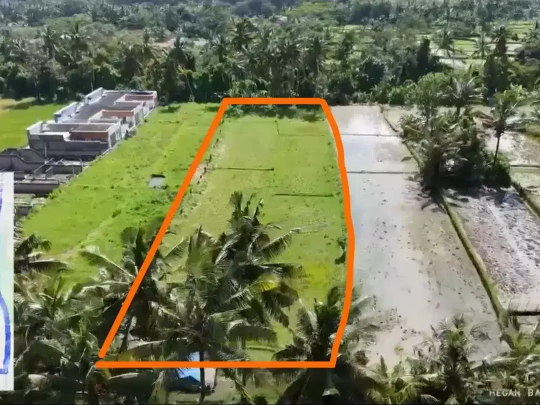 Prime 3.130 sqm of Leasehold Land with Stunning Rice Field Views Ubud - Image 1 of 6