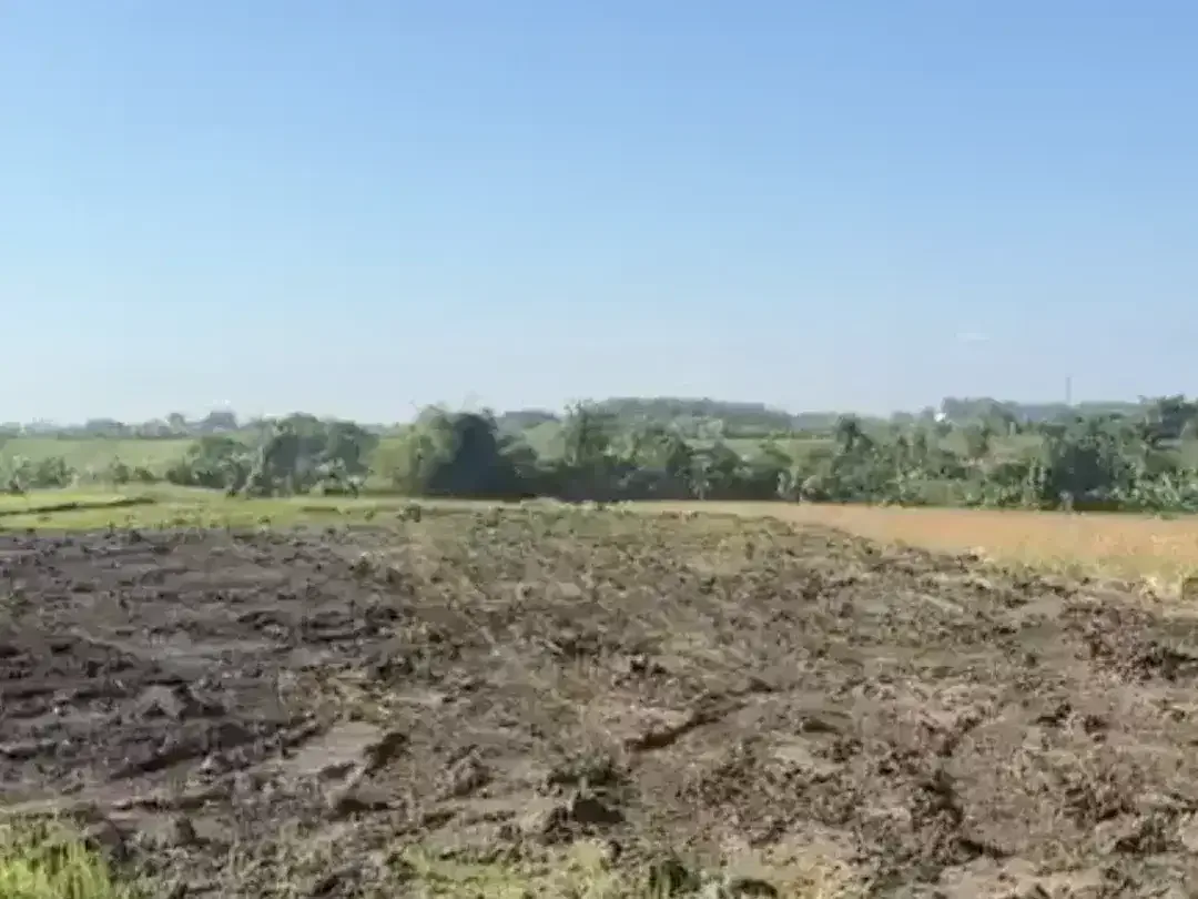 Land for sale in Kerambitan, Bali - Image 5 of 5