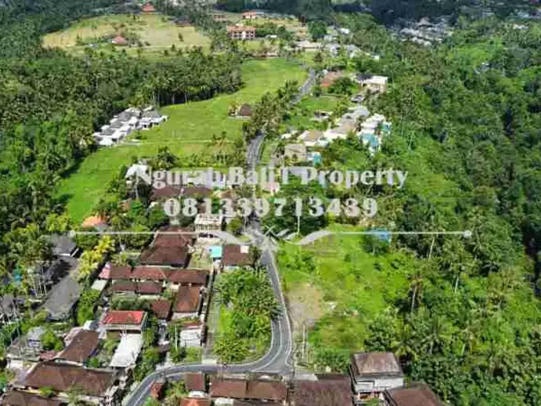 Over Kontrak  Luas Tanah 69,38 Are View Jungle dan Tebing di Ubud - Image 6 of 7