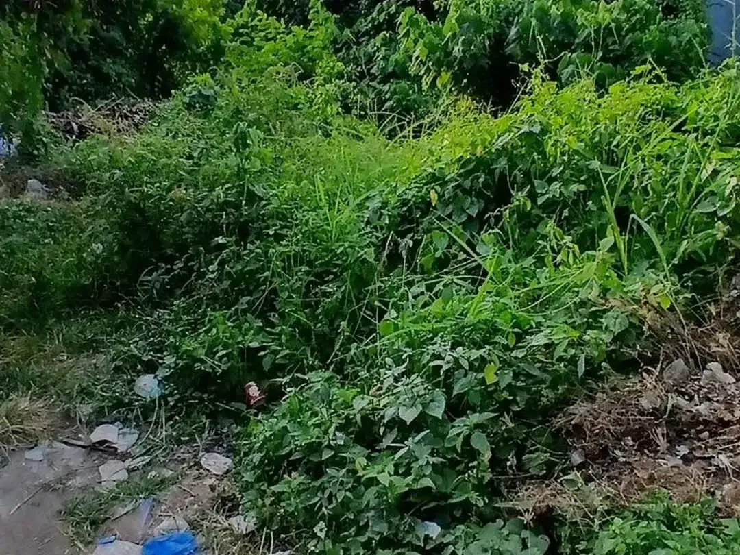 Prime 25-Year Leasehold Land In The Heart Of Berawa - Image 5 of 7