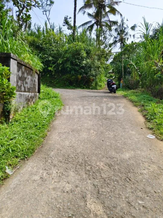 Dijual Tanah Strategis - Payangan, Ubud Utara Cocok untuk Vila - Image 4 of 4