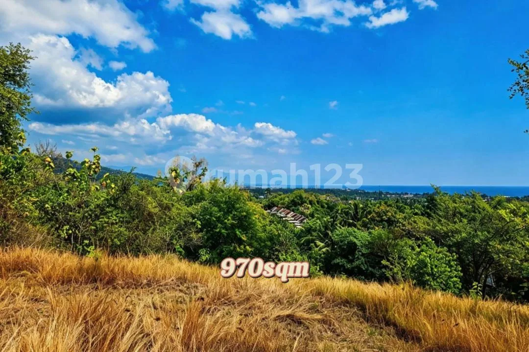 Premium Ocean View Of Sunset Point For Sale In Lovina North Bali - Image 2 of 4