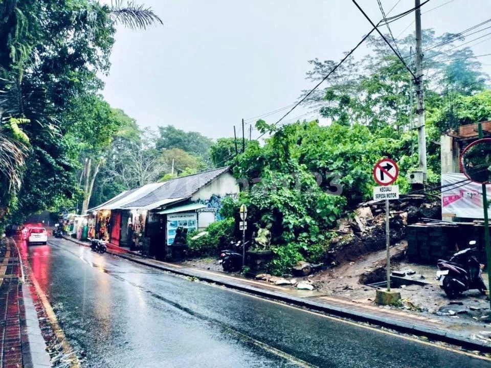 Dijual Tanah Gianyar - Image 1 of 4