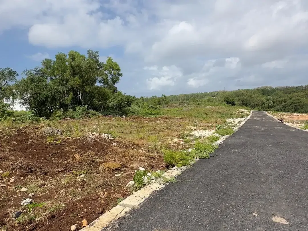Dijual Tanah 250m2 Jungle View Zona Pariwisata Nusa Dua Bali - Image 3 of 10