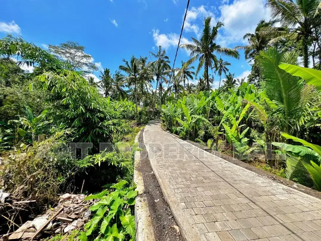 Tanah View Jungle & Sungai Payangan Ubud Gianyar Bali - Image 9 of 10