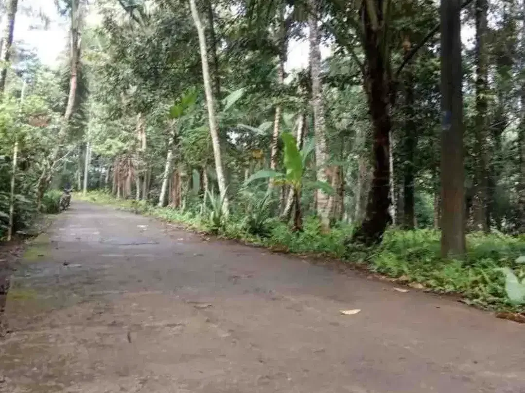 Tanah Sidemen jungle Riceview - Image 8 of 10
