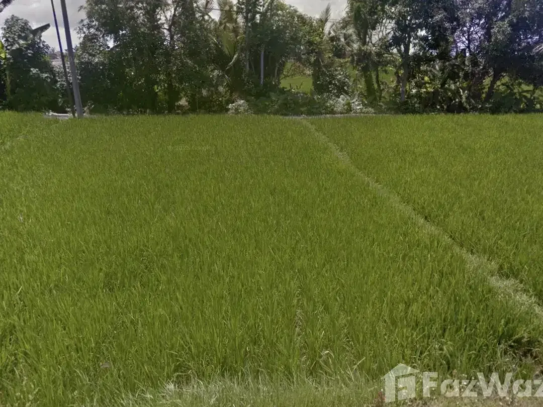 Land for sale in Cemagi, Bali - Image 3 of 6
