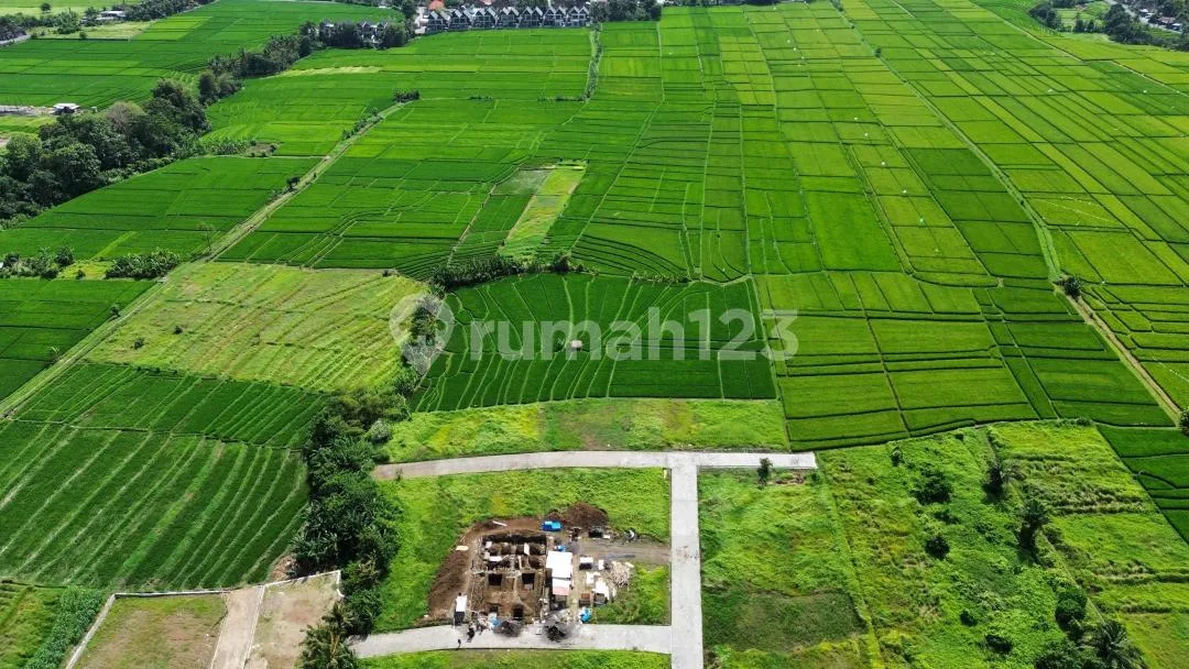 Tanah Canggu Pererenan Nuanu Kedungu - Image 3 of 4