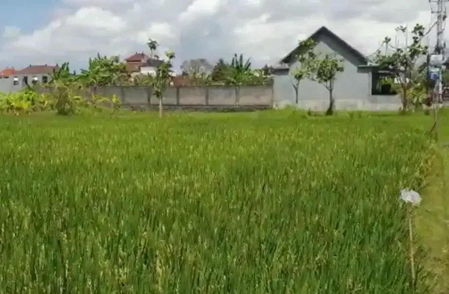 DIJUAL TANAH ZONA PERUMAHAN LOKASI KEROBOKAN - Image 2 of 9