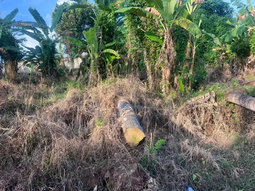 TANAH DIJUAL DI SAKAH, SUKAWATI, GIANYAR – KAWASAN VILLA | SHM | BISA PER 5 ARE - Image 4 of 6