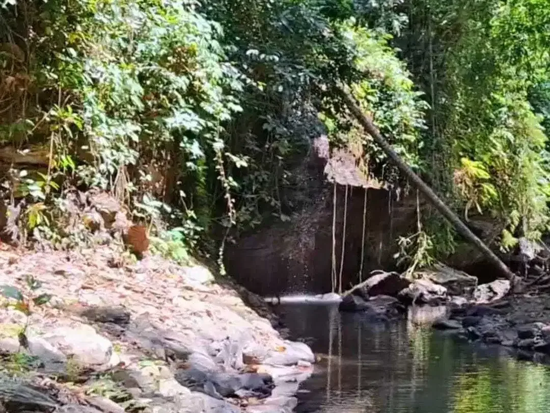 Land for sale in Kaba Kaba, Bali - Image 6 of 8