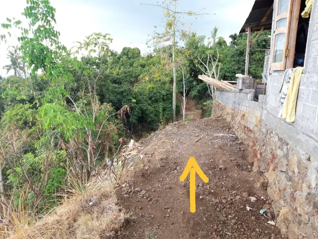 Tanah Dekat Pantai Lovina Buleleng - Image 9 of 9