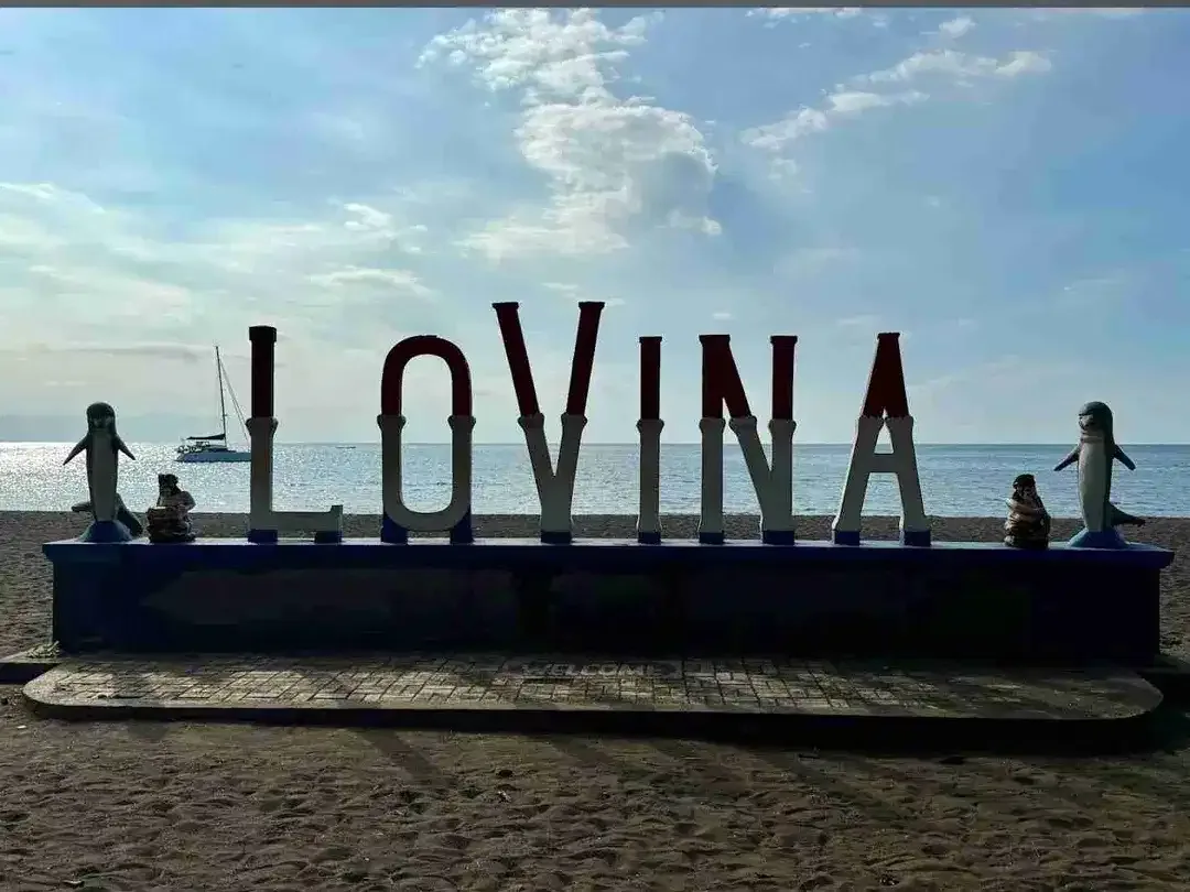 Jual tanah 10 are dekat PANTAI LOVINA / LOVINA DOLPIN Buleleng Bali, cck utk VILLA - Image 7 of 10
