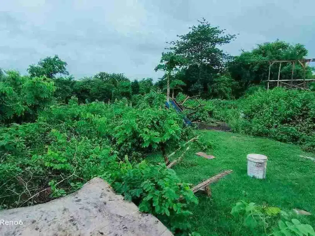 dijual tanah murah 6,19 are harga nett 325 juta per are dekat SMP negeri 5 Kutuh Kuta Selatan Badung Bali - Image 5 of 6