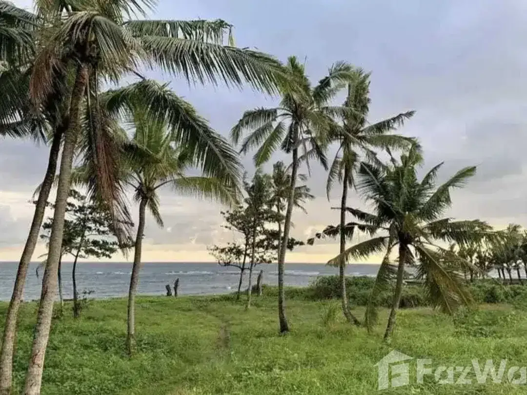 Land for sale in Seseh, Bali - Image 2 of 5