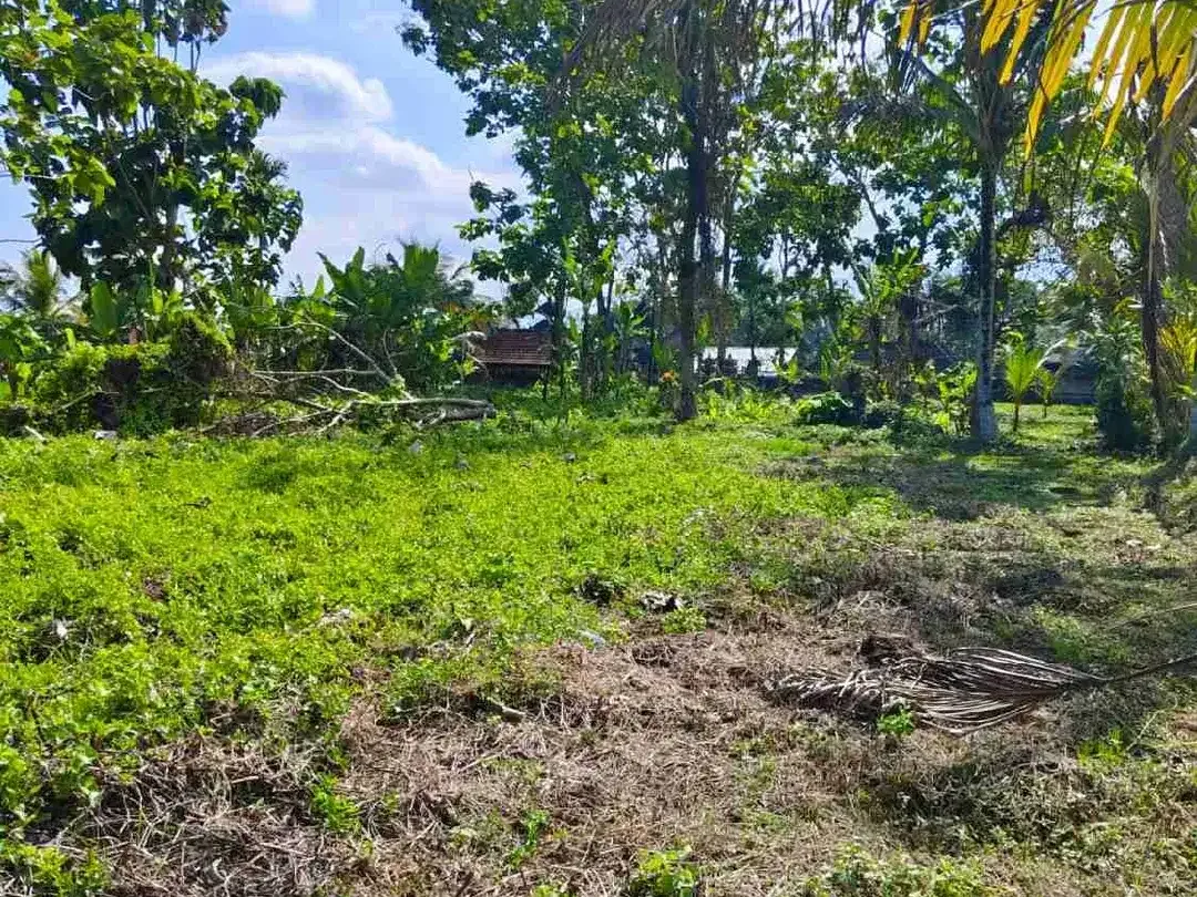 Lahan Tegalalang Ubud 5100 m², View Sawah dan Sungai Alami - Image 3 of 10
