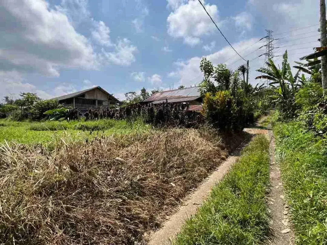 jual tanah flat datar di tabanan bali. - Image 8 of 10