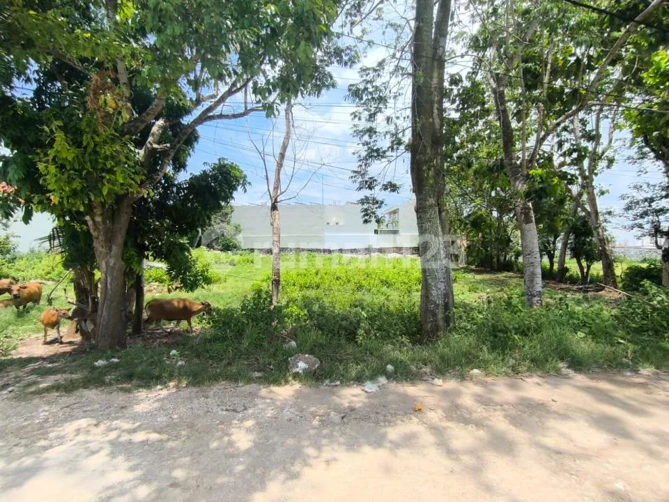 D Ready To Build Land Suitable For Investment Or Priv Villa - Image 2 of 4