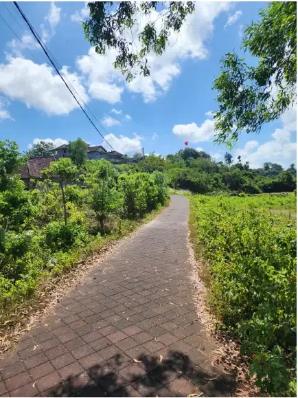 Land for lease at ungasan - Image 7 of 10