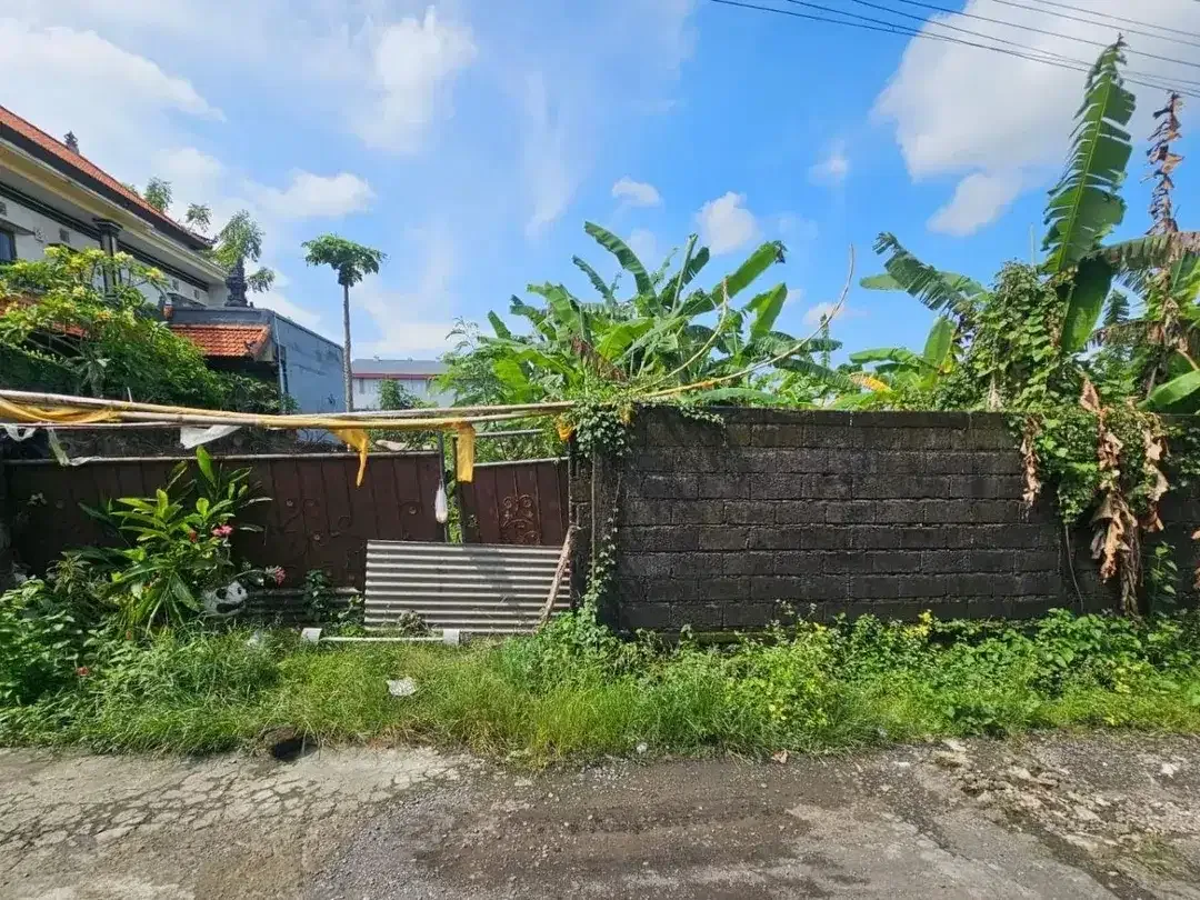 Tanah munggu kediri tabanan - Image 4 of 7