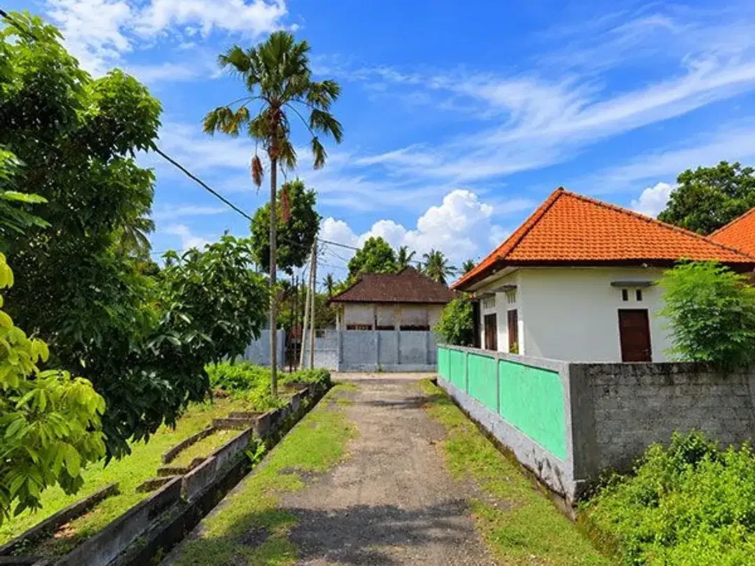 AMS-008.SH | Super Murah Dijual Tanah Kavling Perumahan di Celukan Bawang – Gerokgak, Singaraja - Image 9 of 10