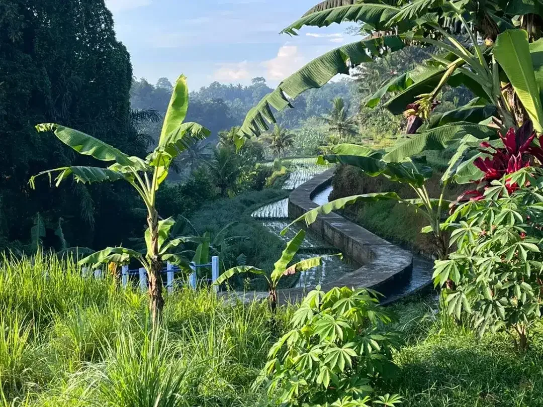 River Front Land For Sale Near Beji Waterfall - Image 5 of 10