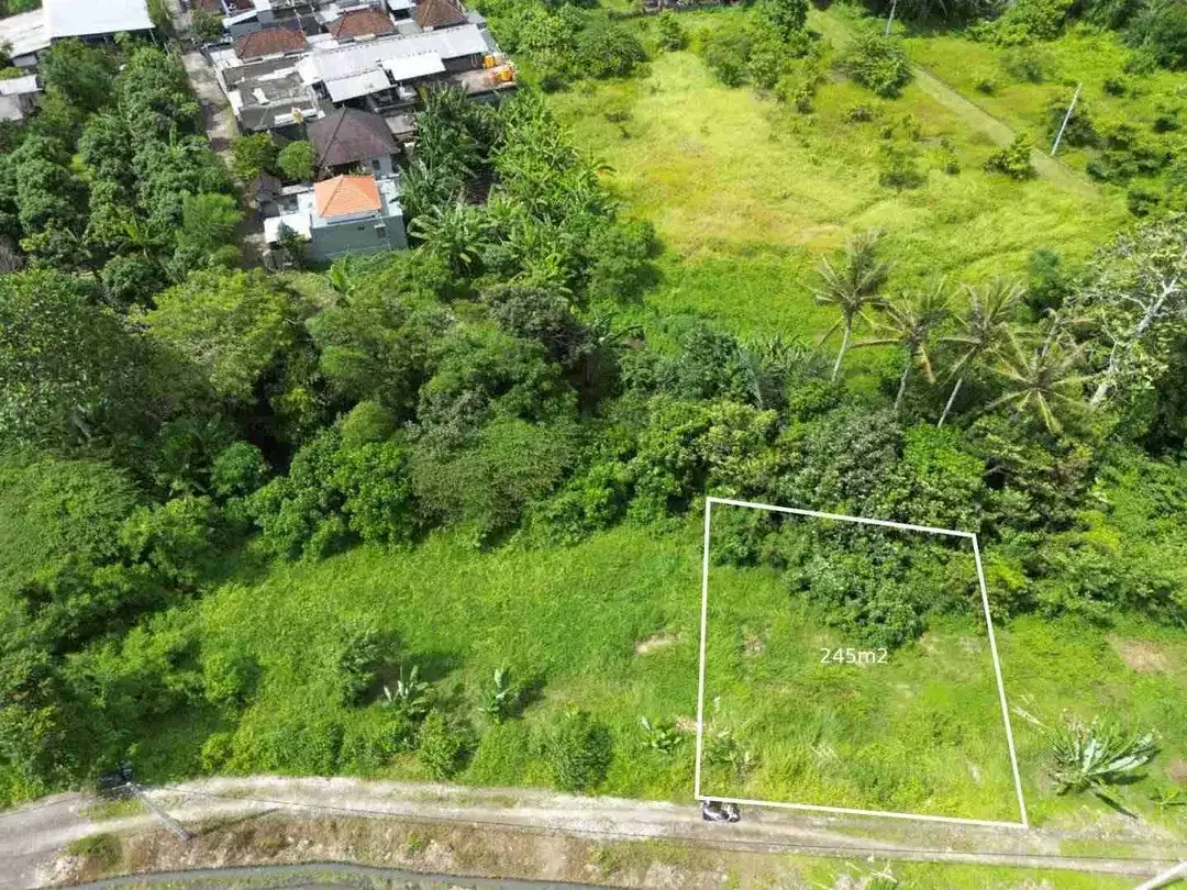 tanah plot kecil dekat pantai kedungu tabanan sangat bagus di bangun villa - Image 7 of 7