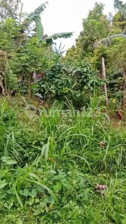 Tanah Strategis Dekat Air Terjun Bedugul, Buleleng - Image 2 of 4