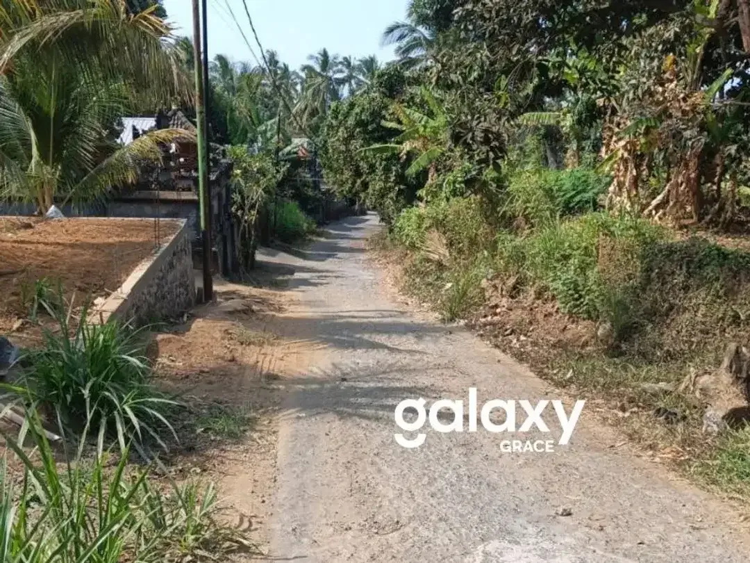DIJUAL TANAH DI KUBUTAMBAHAN BULELENG - Image 3 of 6