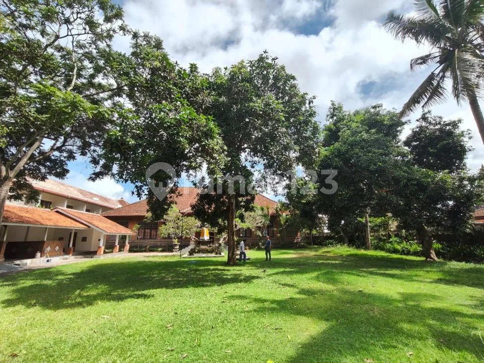 Jual Cepat Tanah Pinggir Jalan Utama Bonus Bangunan Siap Huni, di Kemenuh, Dekat ke Central Ubud - Image 4 of 4