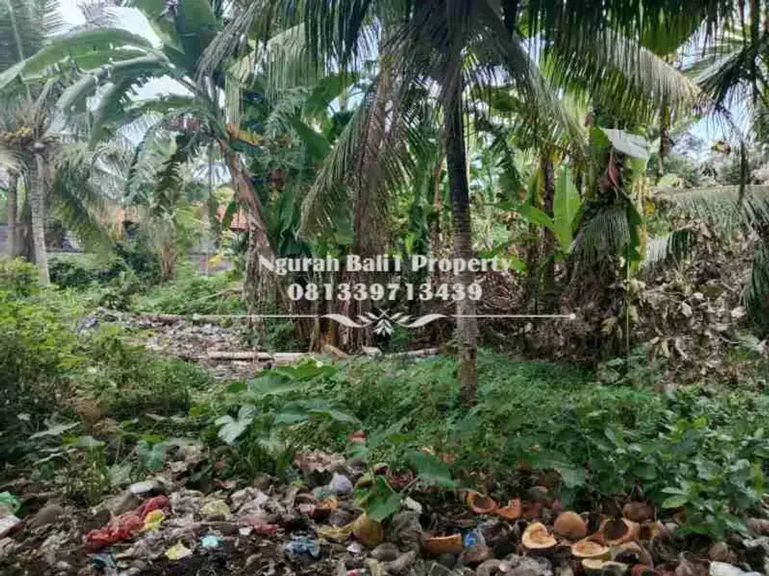 BUC Dijual Tanah Murah Luas 500 m2 Kawasan Villa di Lodtunduh Ubud - Image 3 of 4