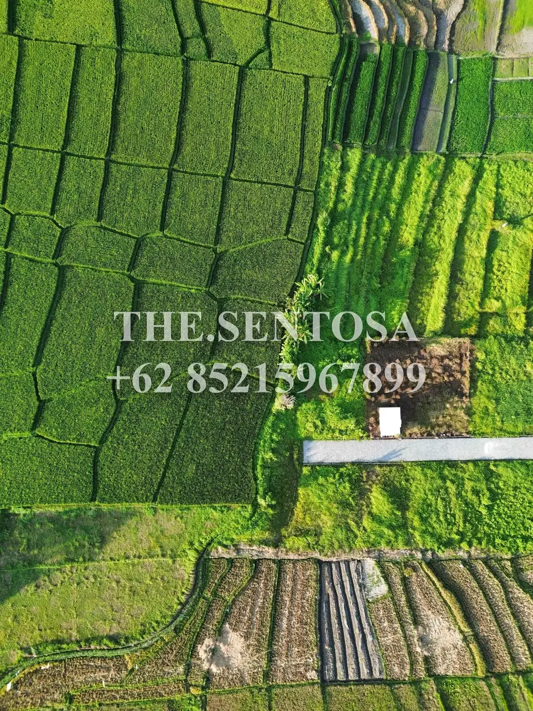 TANAH SIAP BANGUN KEDUNGU dekat NUANU - Image 3 of 9