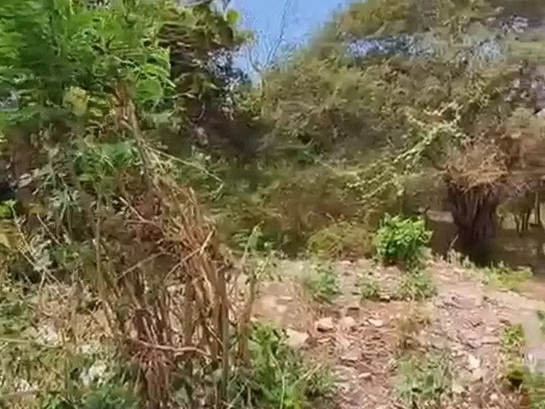 Tanah Kosong di Dekat Jalan Gunung Payung Kutuh - Image 9 of 10